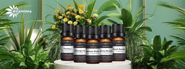 質 電気の香りの拡散機 工場