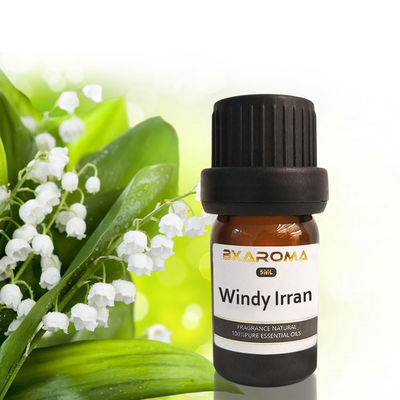購入 Ilanの香りの拡散器の精油支持できる車の芳香剤の芳香500ml online manufacture